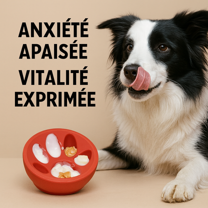 Le snack glacé de ton chien